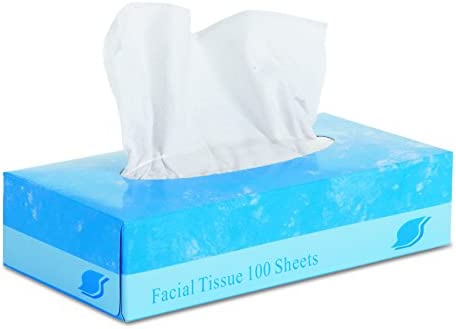 FACIAL TISSUE 2 PLAY 100 SHEETS PER BOX